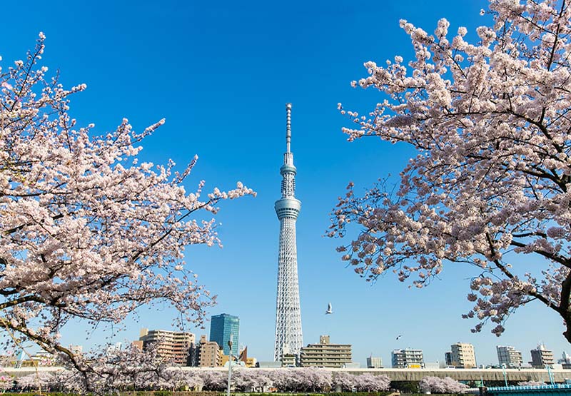 Điểm qua những điểm đến du lịch ấn tượng nhất Tokyo, Nhật Bản