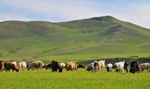 Những địa điểm du lịch đẹp nổi tiếng ở Mông Cổ